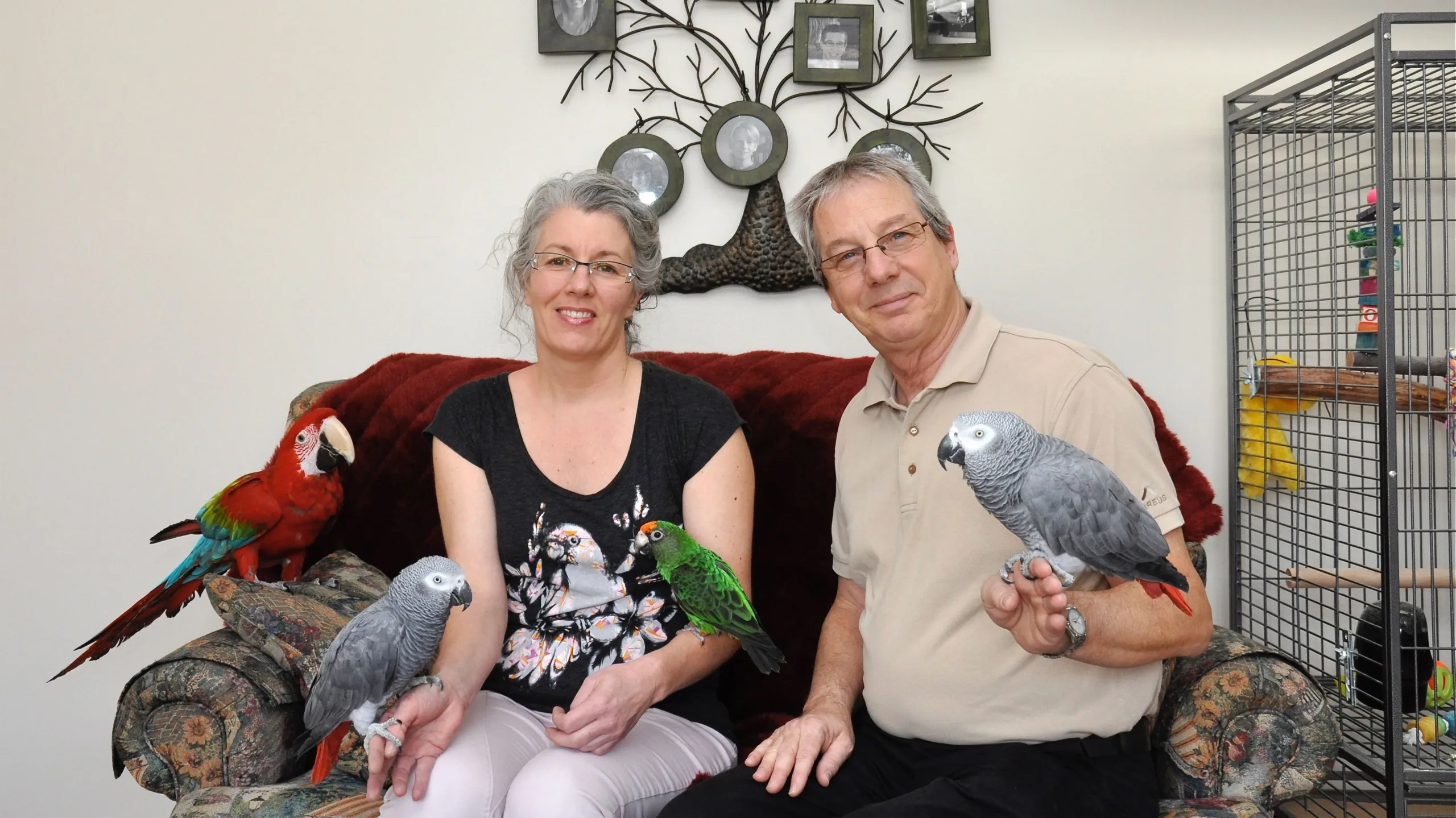 La famille Perroquets Rio